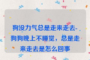 狗没力气总是走来走去-狗狗晚上不睡觉，总是走来走去是怎么回事