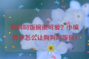 狗狗叼饭碗很可爱？小编教你怎么让狗狗叼饭碗！