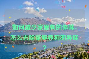 如何减少家里狗的体味-怎么去除家里养狗的异味？