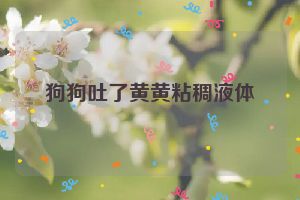 狗狗吐了黄黄粘稠液体