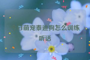 今日萌宠泰迪狗怎么训练听话