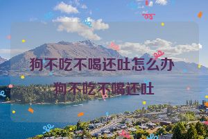 狗不吃不喝还吐怎么办 狗不吃不喝还吐