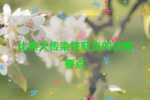 比熊犬传染性肝炎的诊断要点