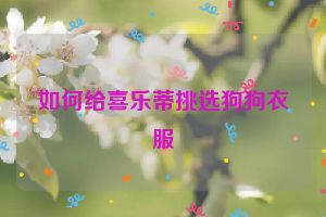 如何给喜乐蒂挑选狗狗衣服