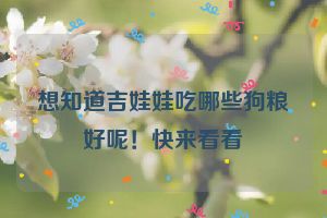 想知道吉娃娃吃哪些狗粮好呢！快来看看