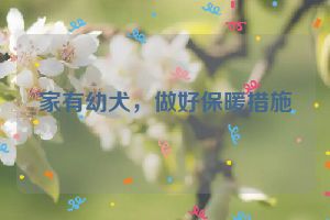 家有幼犬，做好保暖措施