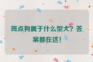 斑点狗属于什么型犬？答案都在这！