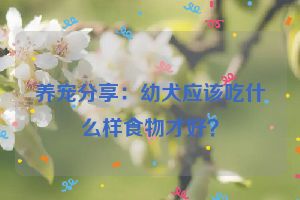 养宠分享：幼犬应该吃什么样食物才好？