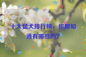 十大猛犬排行榜，你都知道有哪些吗？