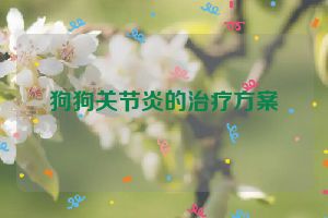 狗狗关节炎的治疗方案