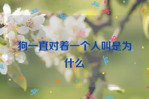 狗一直对着一个人叫是为什么