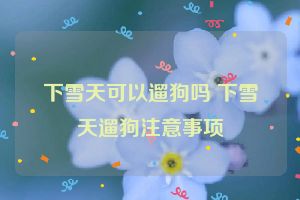 下雪天可以遛狗吗 下雪天遛狗注意事项