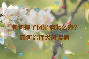 狗狗得了风湿病怎么办？如何治疗犬风湿病