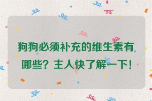 狗狗必须补充的维生素有哪些?主人快了解一下!