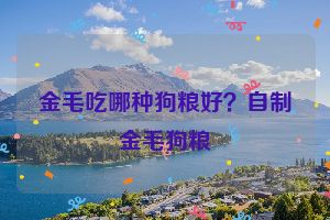 金毛吃哪种狗粮好？自制金毛狗粮
