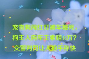 宠物狗闯红灯被车撞死,狗主人向车主索赔18万?交警判罚让人拍手称快
