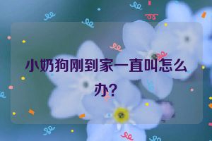 小奶狗刚到家一直叫怎么办？