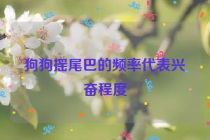 狗狗摇尾巴的频率代表兴奋程度