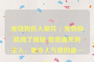宠物狗伤人案件 | 宠物狗就闻了闻腿 他竟捅死狗主人，更令人气愤的是……