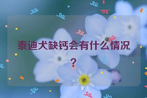 泰迪犬缺钙会有什么情况？