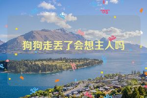 狗狗走丢了会想主人吗