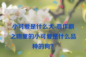 小可爱是什么犬-恶作剧之吻里的小可爱是什么品种的狗?