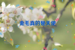 金毛真的是天使