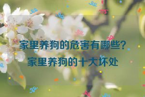 家里养狗的危害有哪些？家里养狗的十大坏处