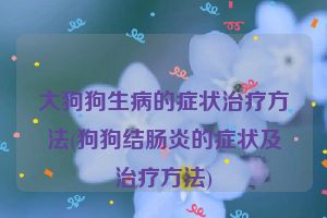 大狗狗生病的症状治疗方法(狗狗结肠炎的症状及治疗方法)