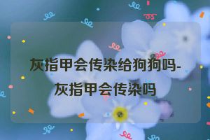 灰指甲会传染给狗狗吗-灰指甲会传染吗