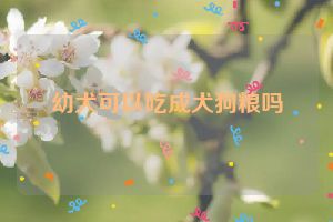 幼犬可以吃成犬狗粮吗