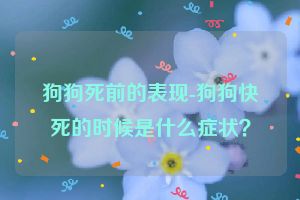 狗狗死前的表现-狗狗快死的时候是什么症状？