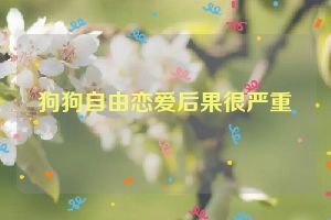 狗狗自由恋爱后果很严重