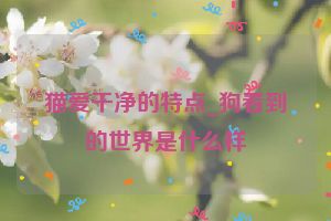 猫爱干净的特点_狗看到的世界是什么样