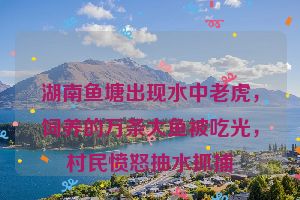 湖南鱼塘出现水中老虎，饲养的万条大鱼被吃光，村民愤怒抽水抓捕