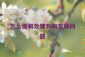 怎么缓解处理狗狗发烧问题