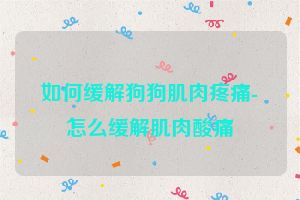 如何缓解狗狗肌肉疼痛-怎么缓解肌肉酸痛