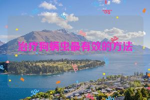 治疗狗螨虫最有效的方法