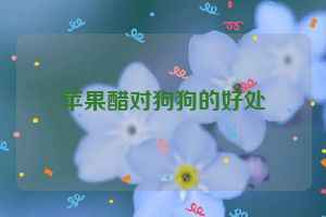 苹果醋对狗狗的好处