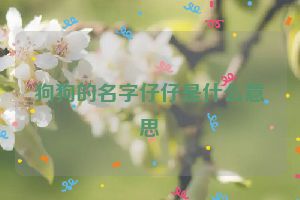 狗狗的名字仔仔是什么意思