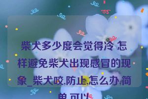 柴犬多少度会觉得冷 怎样避免柴犬出现感冒的现象_柴犬咬,防止,怎么办,简单,可以