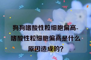 狗狗嗜酸性粒细胞偏高-嗜酸性粒细胞偏高是什么原因造成的？