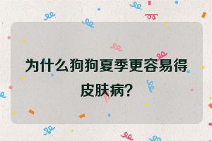 为什么狗狗夏季更容易得皮肤病？