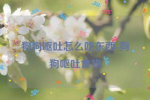 狗狗呕吐怎么吃东西-狗狗呕吐食物