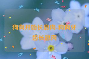 狗狗开始长息肉-狗狗牙齿长息肉