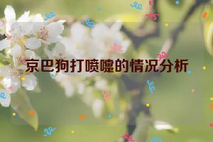 京巴狗打喷嚏的情况分析