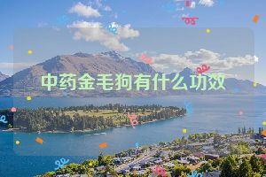 中药金毛狗有什么功效
