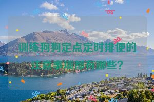 训练狗狗定点定时排便的注意事项都有哪些？