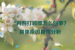 “狗狗打喷嚏怎么回事？”具体原因具体分析