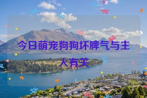 今日萌宠狗狗坏脾气与主人有关